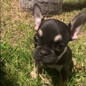 Meet your Posher, Matthew